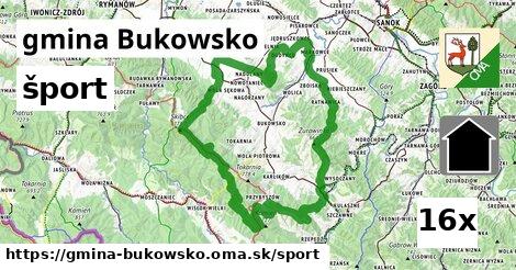 šport v gmina Bukowsko