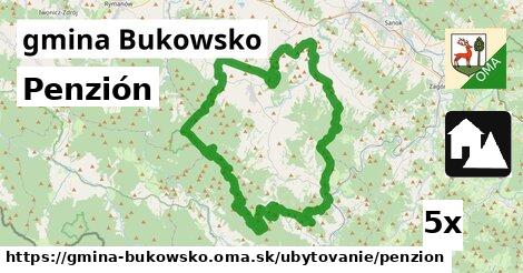 Penzión, gmina Bukowsko