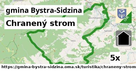 chranený strom v gmina Bystra-Sidzina