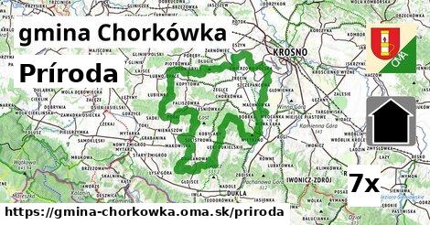 príroda v gmina Chorkówka