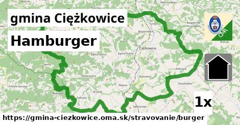 Hamburger, gmina Ciężkowice