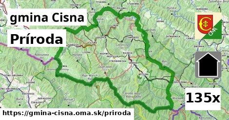 príroda v gmina Cisna