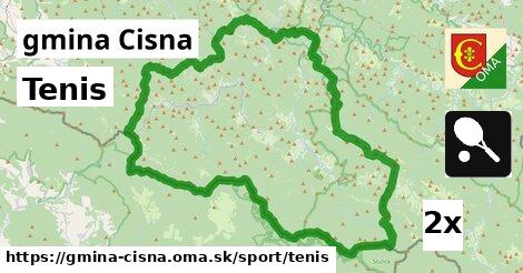 Tenis, gmina Cisna