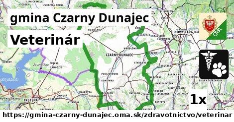 Veterinár, gmina Czarny Dunajec