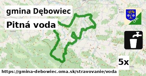 pitná voda v gmina Dębowiec