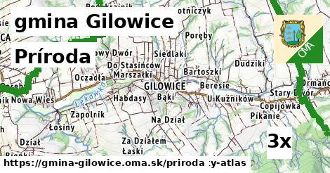 príroda v gmina Gilowice