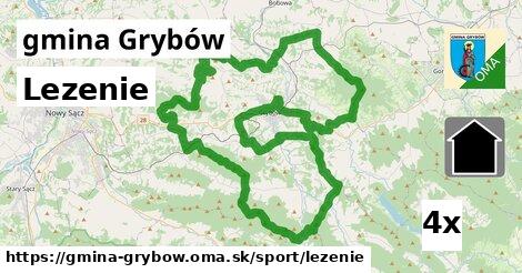 Lezenie, gmina Grybów