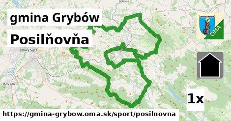 Posilňovňa, gmina Grybów