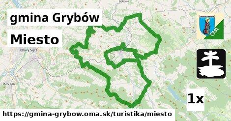 Miesto, gmina Grybów