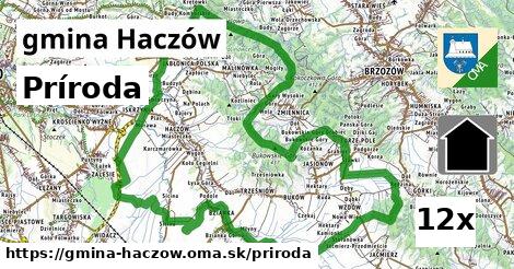príroda v gmina Haczów