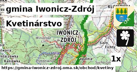 Kvetinárstvo, gmina Iwonicz-Zdrój