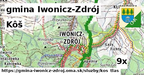 kôš v gmina Iwonicz-Zdrój