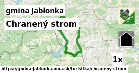 Chranený strom, gmina Jabłonka