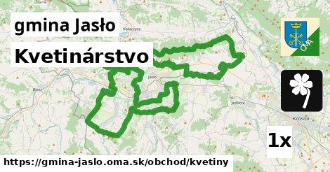 Kvetinárstvo, gmina Jasło