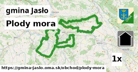 plody mora v gmina Jasło