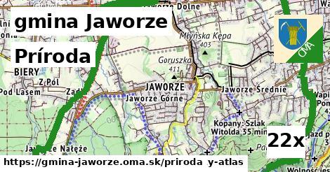 príroda v gmina Jaworze