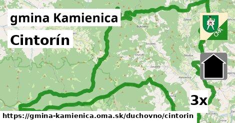 Cintorín, gmina Kamienica