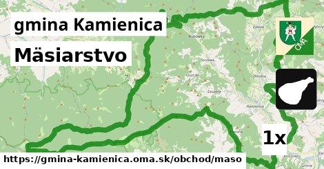 mäsiarstvo v gmina Kamienica