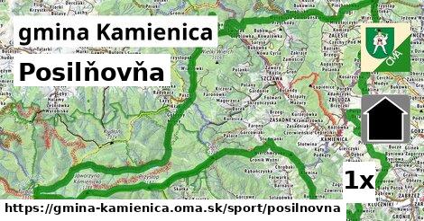 posilňovňa v gmina Kamienica