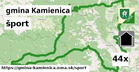 šport v gmina Kamienica
