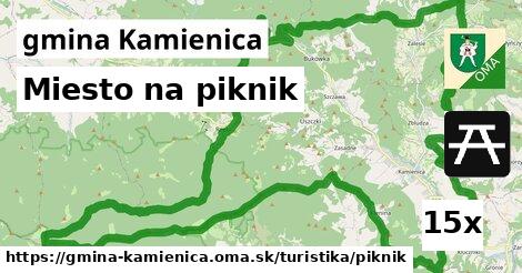 Miesto na piknik, gmina Kamienica