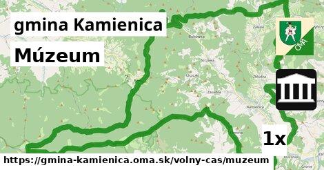 Múzeum, gmina Kamienica