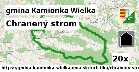 Chranený strom, gmina Kamionka Wielka