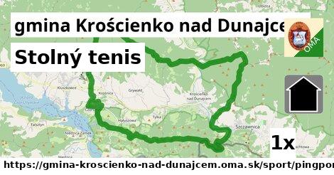 Stolný tenis, gmina Krościenko nad Dunajcem