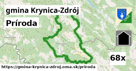 príroda v gmina Krynica-Zdrój
