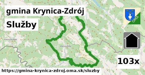 služby v gmina Krynica-Zdrój