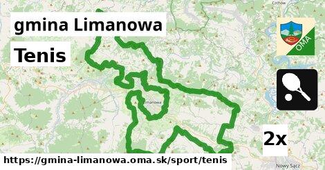 Tenis, gmina Limanowa