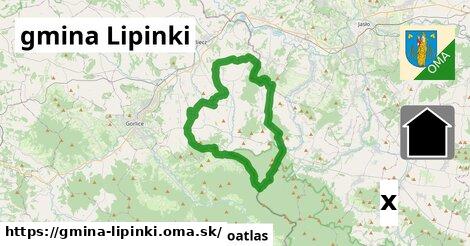 zmrzlina v gmina Lipinki