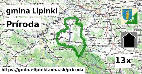 príroda v gmina Lipinki