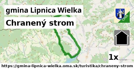 Chranený strom, gmina Lipnica Wielka