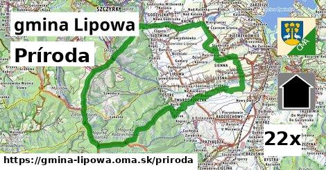 príroda v gmina Lipowa