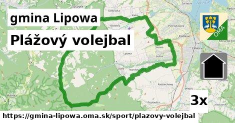 plážový volejbal v gmina Lipowa