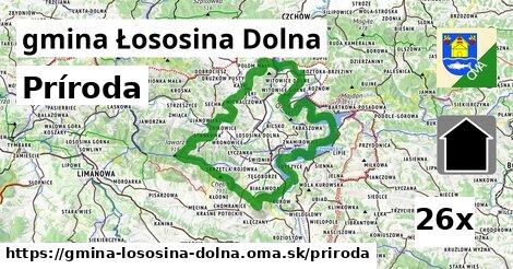 príroda v gmina Łososina Dolna