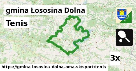 Tenis, gmina Łososina Dolna