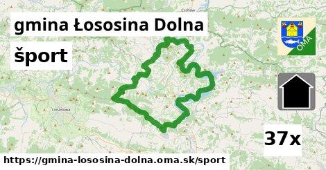 šport v gmina Łososina Dolna