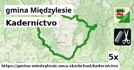 Kaderníctvo, gmina Międzylesie