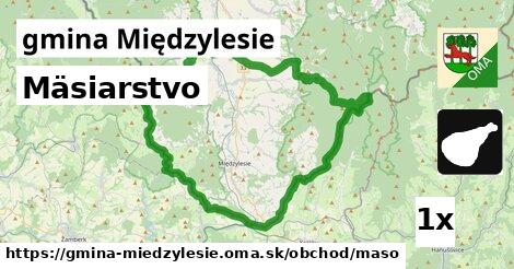Mäsiarstvo, gmina Międzylesie