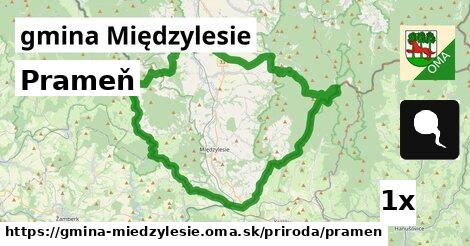 Prameň, gmina Międzylesie