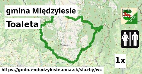 Toaleta, gmina Międzylesie