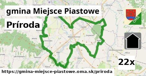 príroda v gmina Miejsce Piastowe