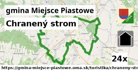 Chranený strom, gmina Miejsce Piastowe