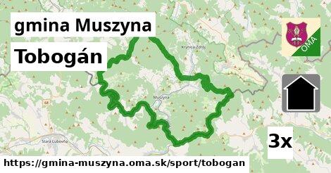 Tobogán, gmina Muszyna