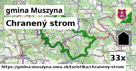 Chranený strom, gmina Muszyna