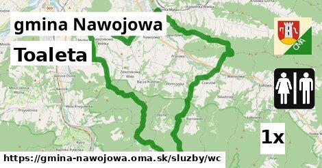 Toaleta, gmina Nawojowa