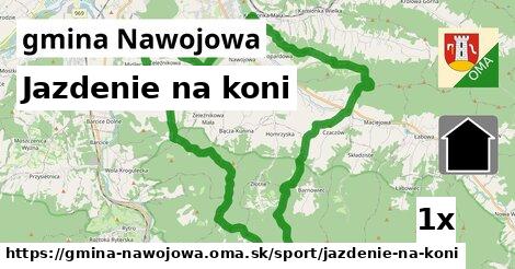 jazdenie na koni v gmina Nawojowa