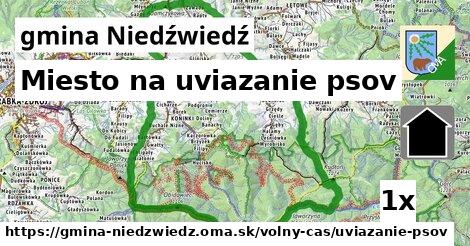 Miesto na uviazanie psov, gmina Niedźwiedź